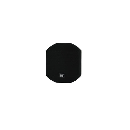 KT Array 300